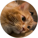 Harry Backus profielfoto